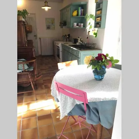 Maison De Ville Avec Jardin Au Coeur De Jarnac * Jarnac